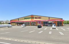 ドラッグストアモリ　南佐賀店