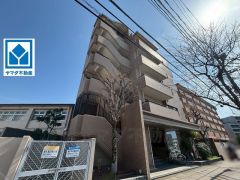 令和8年3月リフォーム完了。内覧受付中です。 新規リノベーションで室内一新。水回りを含めて綺麗な状態で新生活をスタートできます。