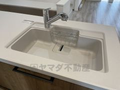 広々とした凸型シンクに洗剤ポケットを標準装備。大きなお鍋など洗いやすいです。
