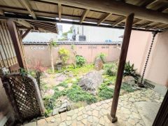 和の風情溢れる庭。趣深い癒しの空間です＾＾