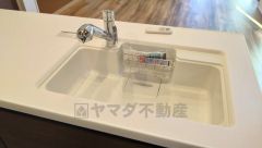 広々とした凸型シンクに洗剤ポケットを標準装備。大きなお鍋など洗いやすいです。