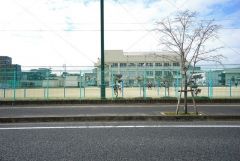 玄洋小学校