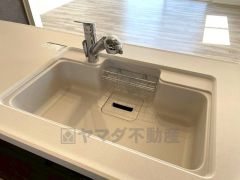 広々とした凸型シンクに洗剤ポケットを標準装備。大きなお鍋など洗いやすいです。