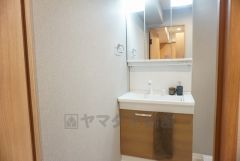 三面鏡つき洗面台。収納も一体型になっているので、化粧品や予備の歯ブラシ等もきれいに整頓できますね＾＾
