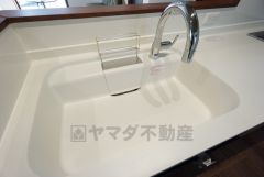 広々したシンクで大きな鍋やフライパンも洗いやすい