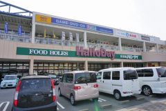 ハローデイ　橋本店