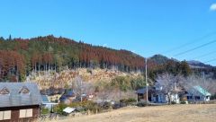 2025年2月撮影。