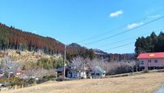 2025年2月撮影。