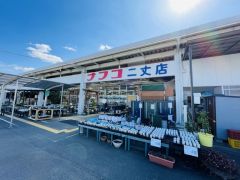 ナフコ　二丈店