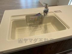 広々とした凸型シンクに洗剤ポケットを標準装備。大きなお鍋など洗いやすいです。