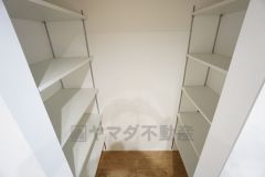 可動棚付きなので収納したいものに合わせて高さが変えられ、スッキリと収納できそうです＾＾