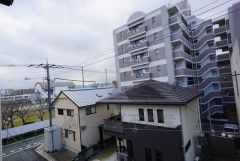 日差しがしっかりと入ります