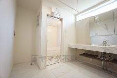 レバーシャワーで引き出して使用できます。収納も一体型になっているので、ドライヤーやヘアアイロンの置き場に困りませんね。