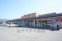まいづるナイン 鏡店