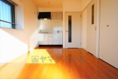 部屋のスペースをほぼ無駄なく広く活用できる壁付けキッチンです。