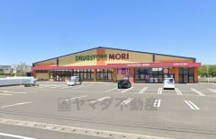 ドラッグストアモリ　南佐賀店
