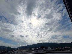 バルコニーからの眺望
