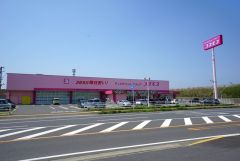 ディスカウントドラッグコスモス　唐津鏡店