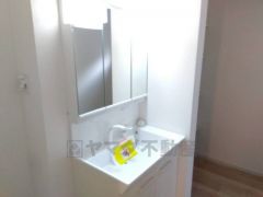 レバーシャワーで引き出して使用できます。収納も一体型になっているので、ドライヤーやヘアアイロンの置き場に困りませんね。