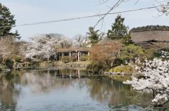 神野公園