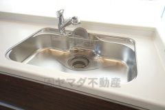 広々とした凸型シンクに洗剤ポケットを標準装備。大きなお鍋など洗いやすいです。洗剤や石鹸、スポンジもすっきりできる収納付き。