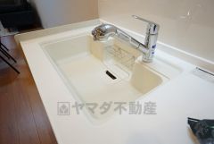 広々とした凸型シンクに洗剤ポケットを標準装備。大きなお鍋など洗いやすいです。