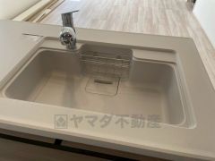 広々とした凸型シンクに洗剤ポケットを標準装備。大きなお鍋など洗いやすいです。