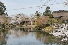 神野公園