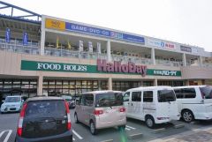 ハローデイ　橋本店