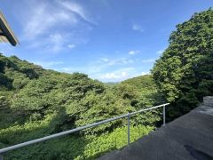 豊かな緑が一面に広がる、自然を身近に感じられる眺望